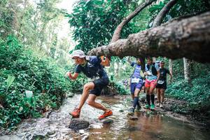 BIB: 
                            <button type="button" onclick="openModal(25371960)" class="btn btn-primary btn-sm float-right btn-popup" data-toggle="modal" data-target=".modal-high-quality">
                        <i class="fas fa-shopping-cart"></i> Add to Cart
                    </button>
                                            <button type="button" onclick="isThisMe(25371960, true)" class="btn btn-success btn-sm float-right btn-popup btn-isme hidden" data-toggle="tooltip" data-placement="bottom" title="นี่คือรูปของคุณใช่ไหม คลิกที่นี่เพื่อเอาเข้าอัลบั้ม">
                        <i class="fas fa-plus"></i> Add to album
                    </button>
                    <button type="button" onclick="isThisMe(25371960, false)" class="btn btn-warning btn-sm float-right btn-popup btn-isnotme hidden">
                        <i class="fas fa-ban"></i> Remove from album
                    </button>